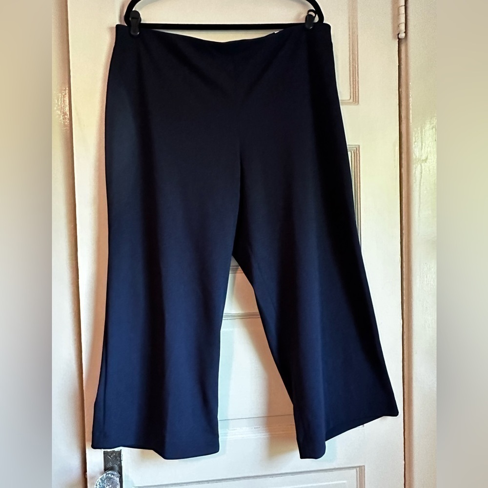 Express NWT Pull on Wide Leg Cropped Trouser